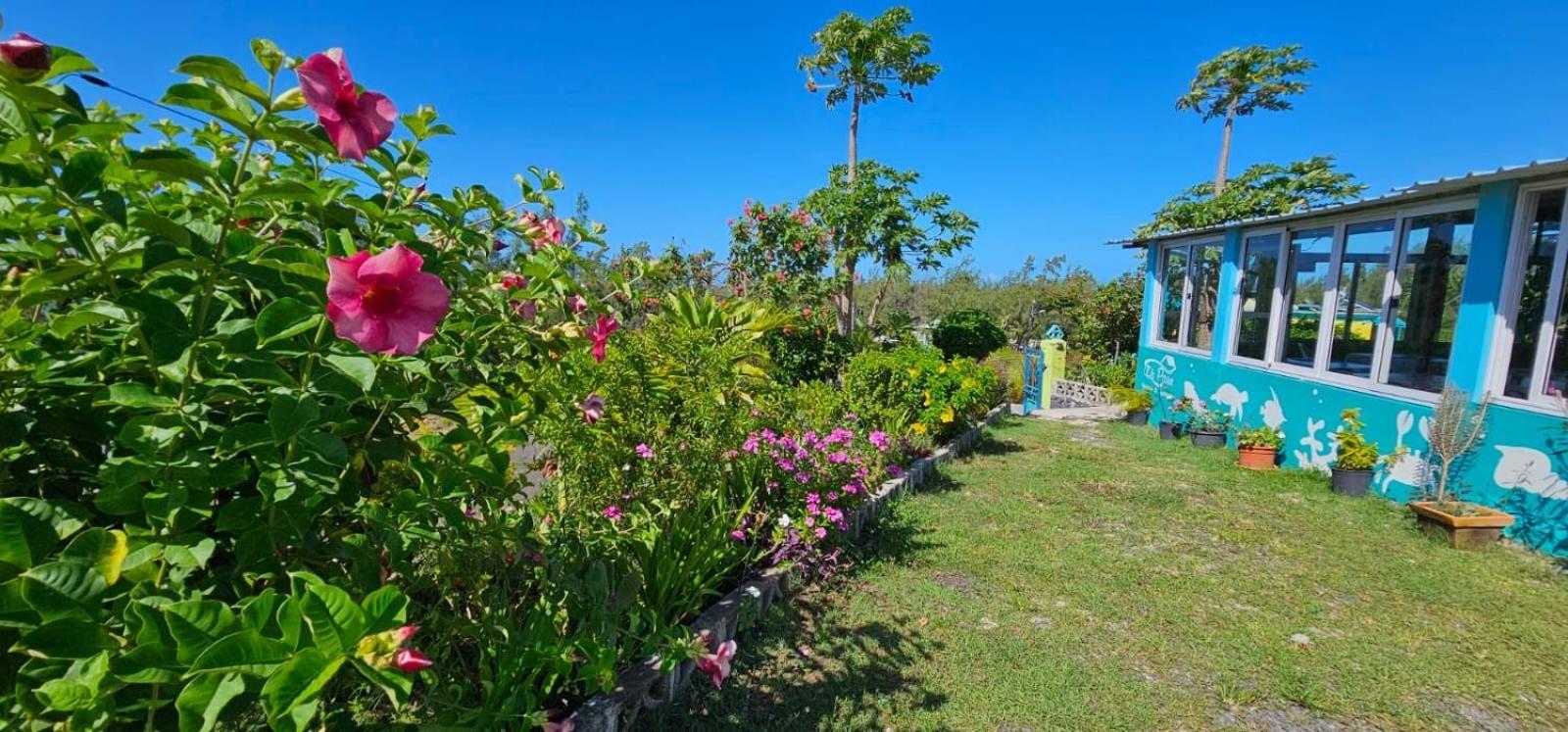 Tilapasse Resto & Guest House Port South East Ngoại thất bức ảnh